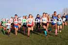 Girls under-13s 2024 NECAA Cross Country Champs., Temple Park, South Shields. Photo: David T. Hewitson/Sports for All Pics